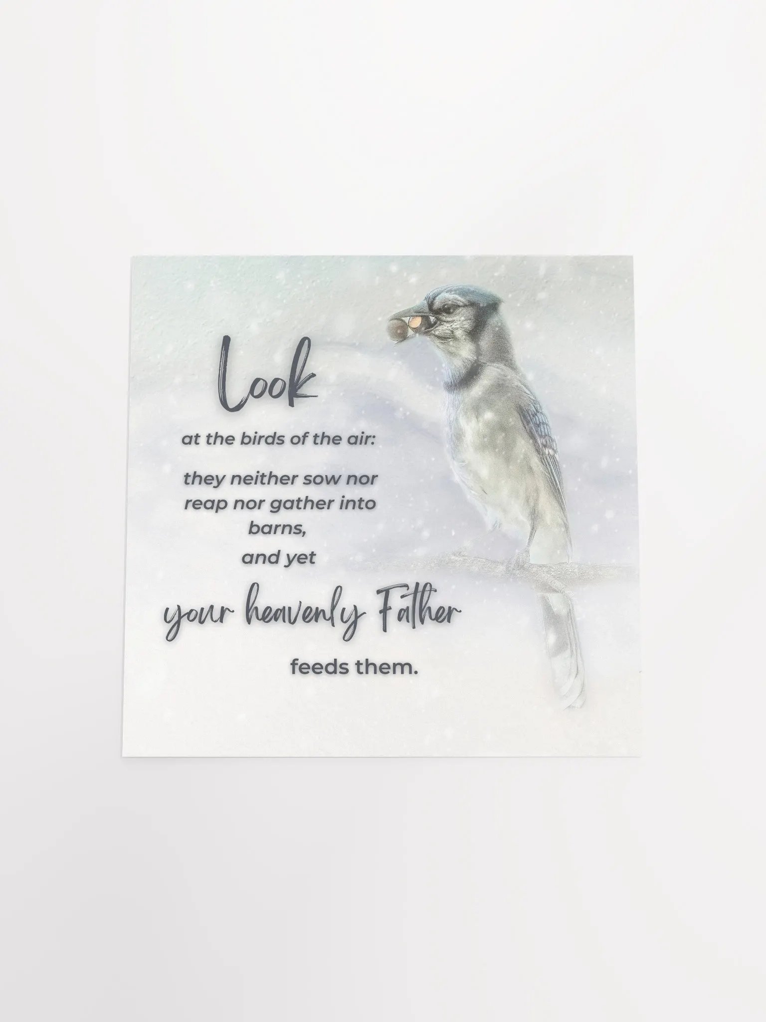 Birds Of The Air product image (18)