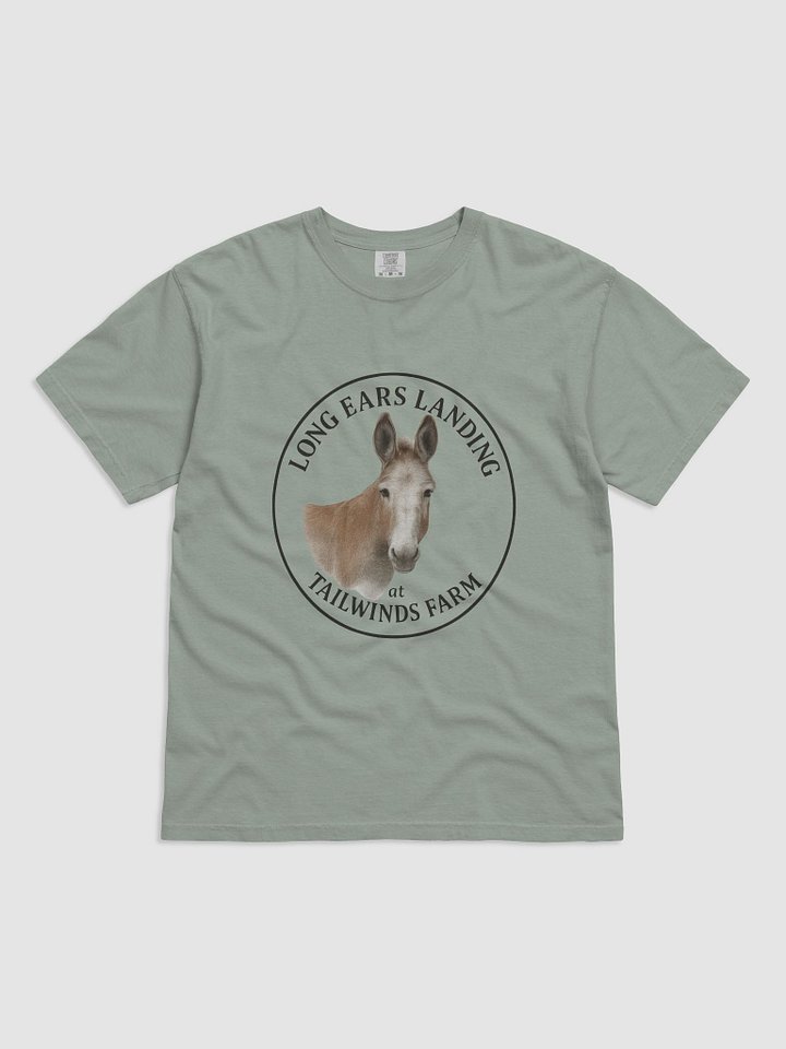 Buckwheat Comfort Colors T-Shirt product image (6)