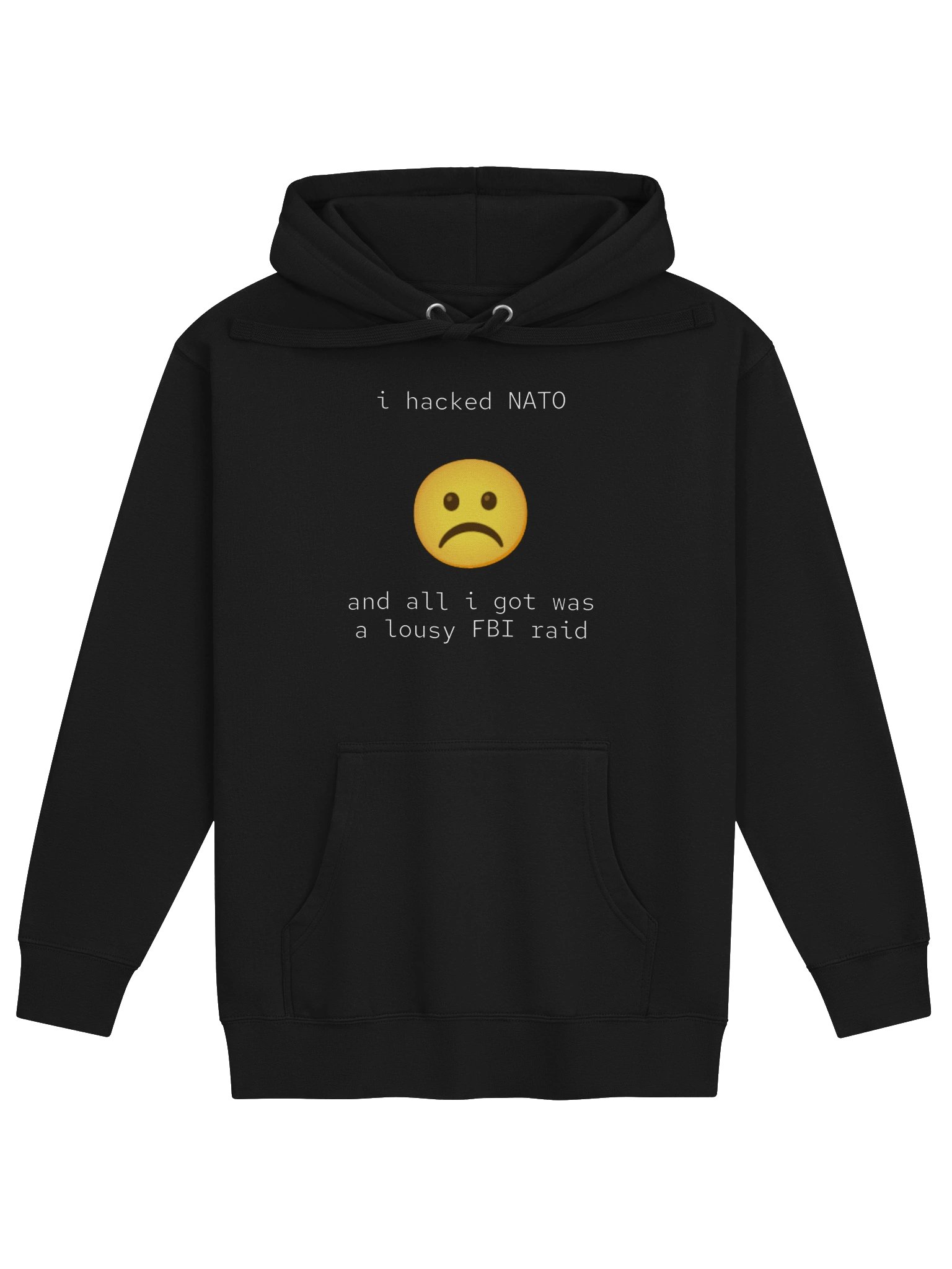 i hacked NATO and all i got was a lousy FBI raid product image (1)