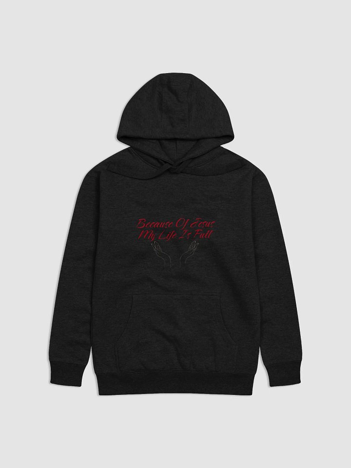 Life Is Full, Bcuz Jesus Hoodie product image (5)