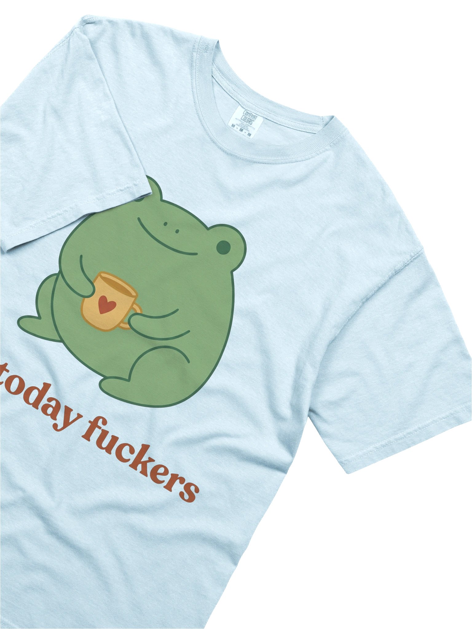 Not Today F*ckers T-Shirt | Funny Sweary Frog Tee product image (9)