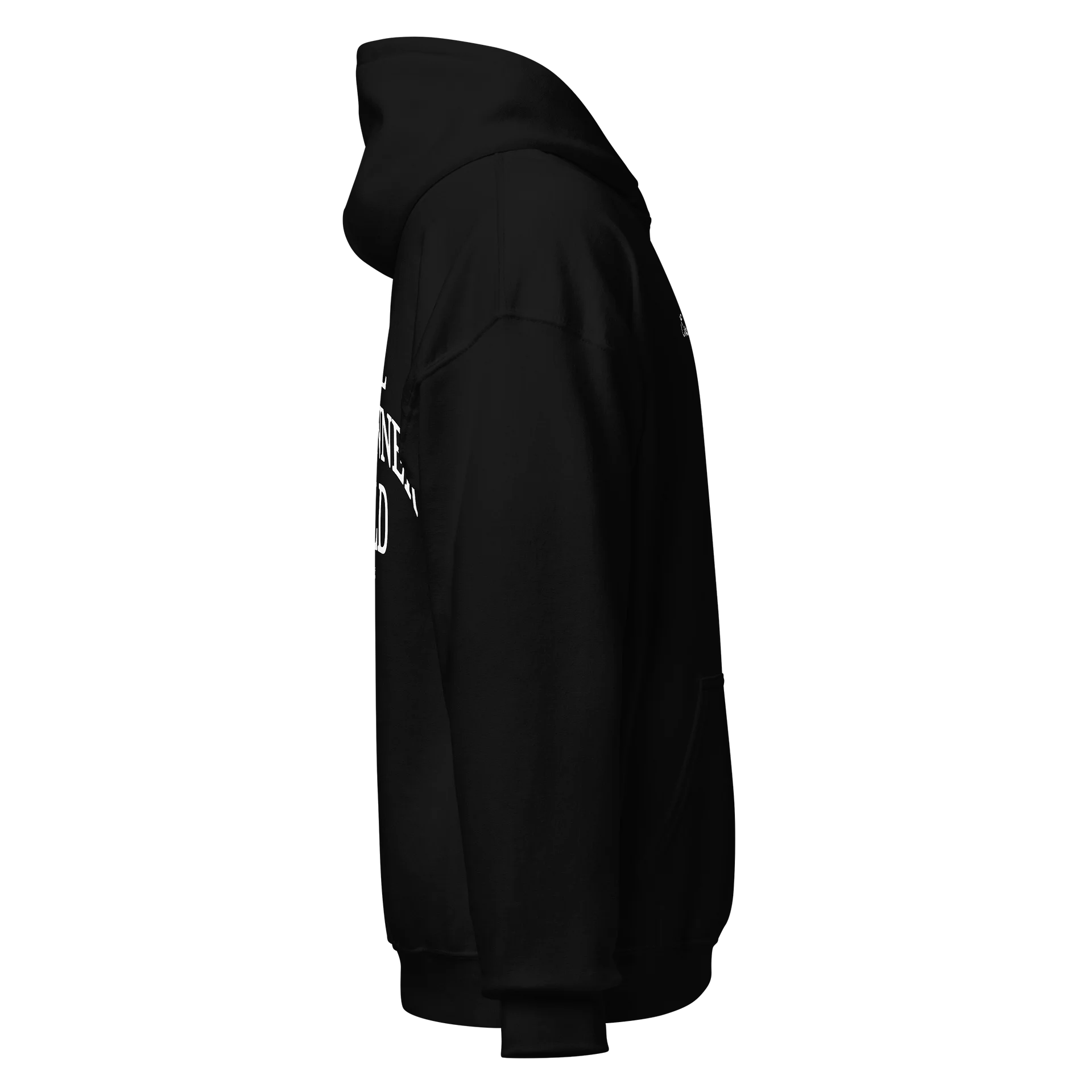 Embroidered Soul's Club Hoodie product image (8)