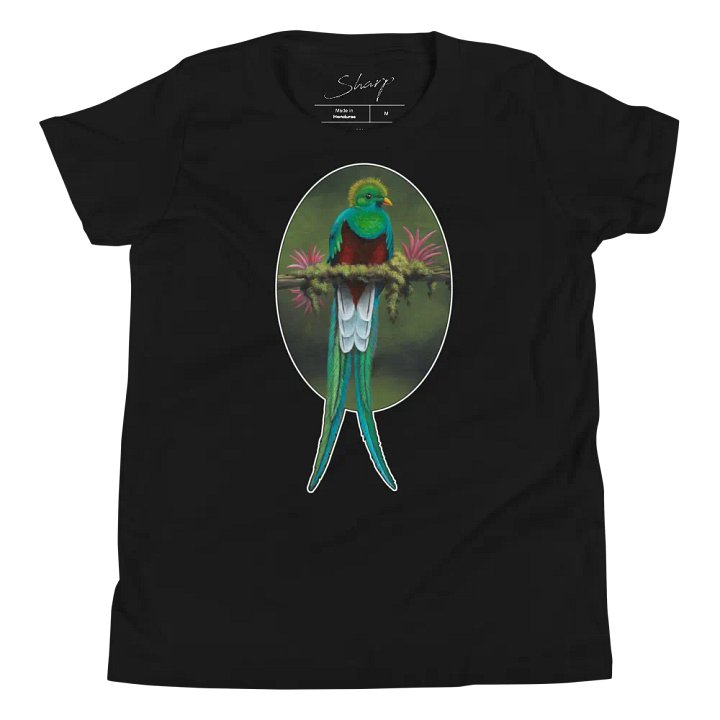 Resplendent Quetzal - SFA Youth T-Shirt product image (1)