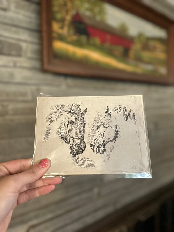 Stefano Della Bella "Two Studies of a Horse" Vintage Equestrian Giclee Fine Art Print | 5x7 | The Ribbon Room product image (1)