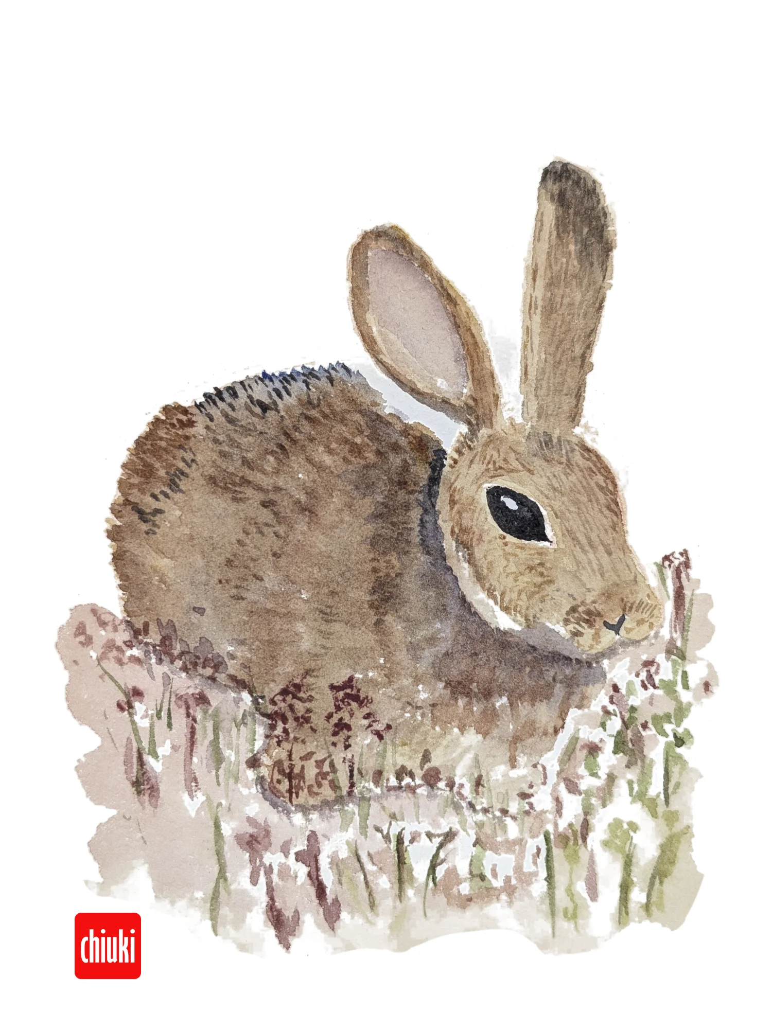 Bunny product image (1)