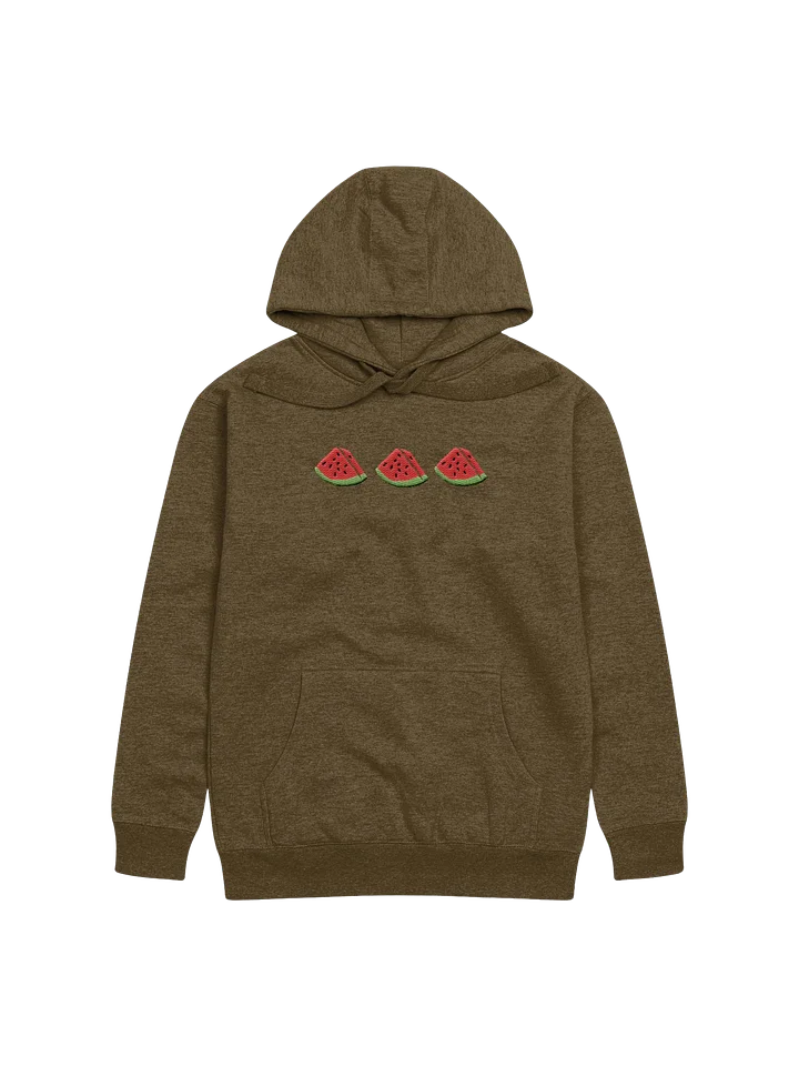 Sandia Embroidered Hoodie (green) product image (1)