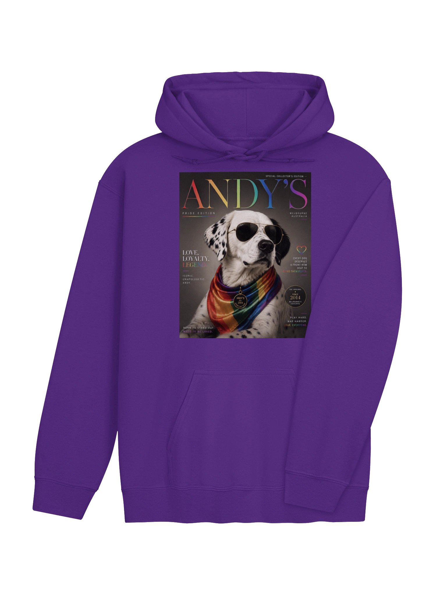 Andy's Pride Edition Hoodie product image (45)