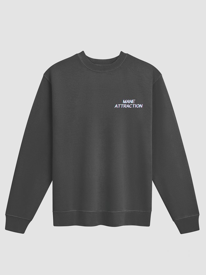 MA Sweatshirt product image (1)