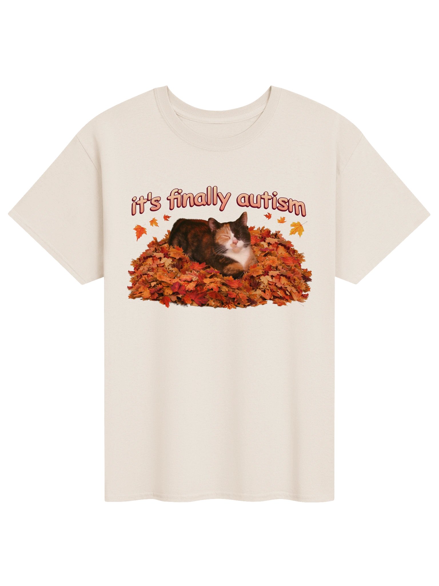 It's Finally Autism Autumn Cat T-shirt product image (1)
