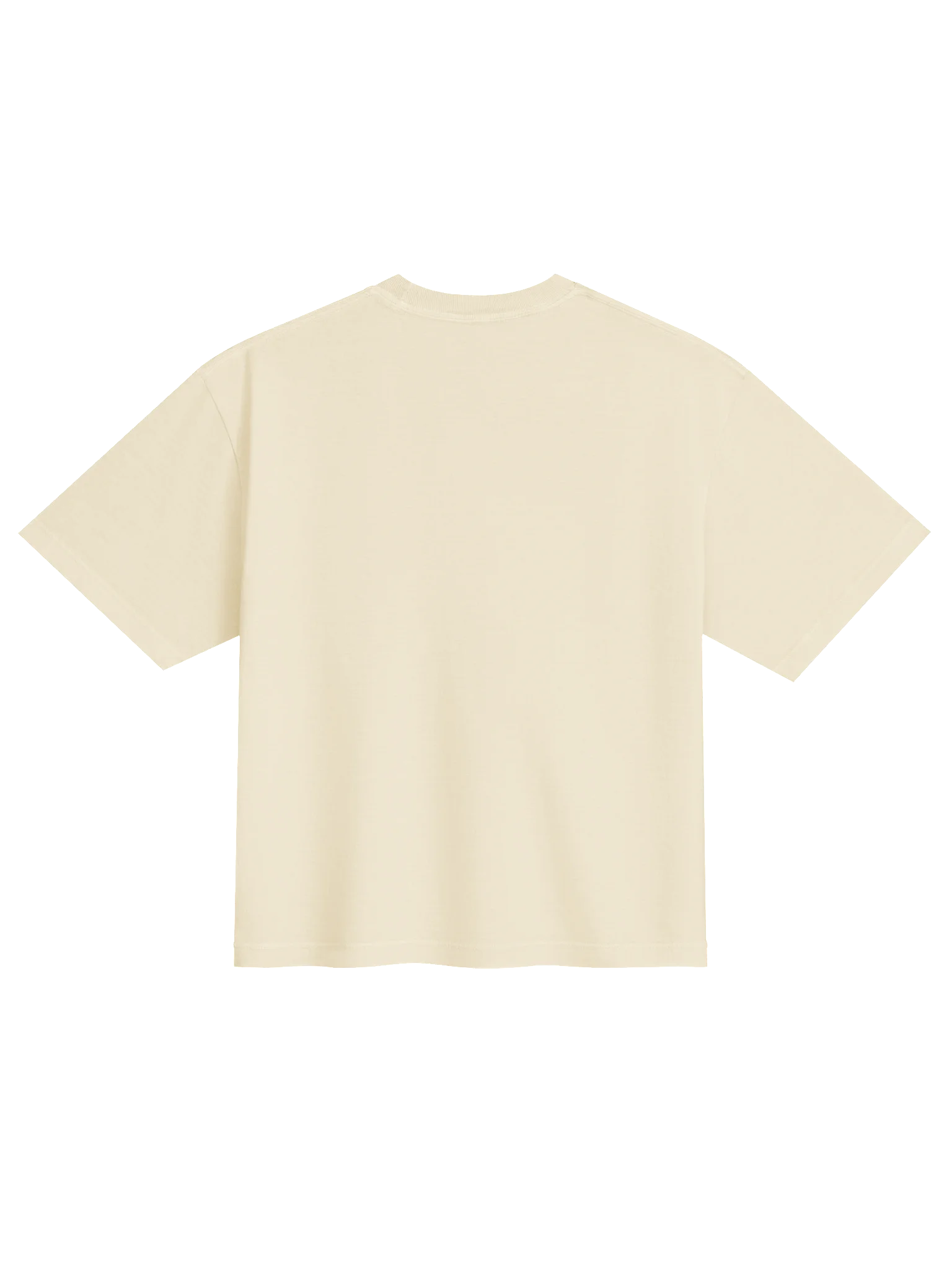 Holy McCain Women's Boxy Tee product image (2)