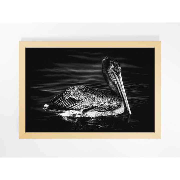 Pelican I Framed Print product image (1)