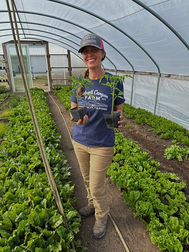 Merch for Moms? Our tomatoes let us know that Mother’s Day must be right around the corner! With a fresh offering of fun new ...