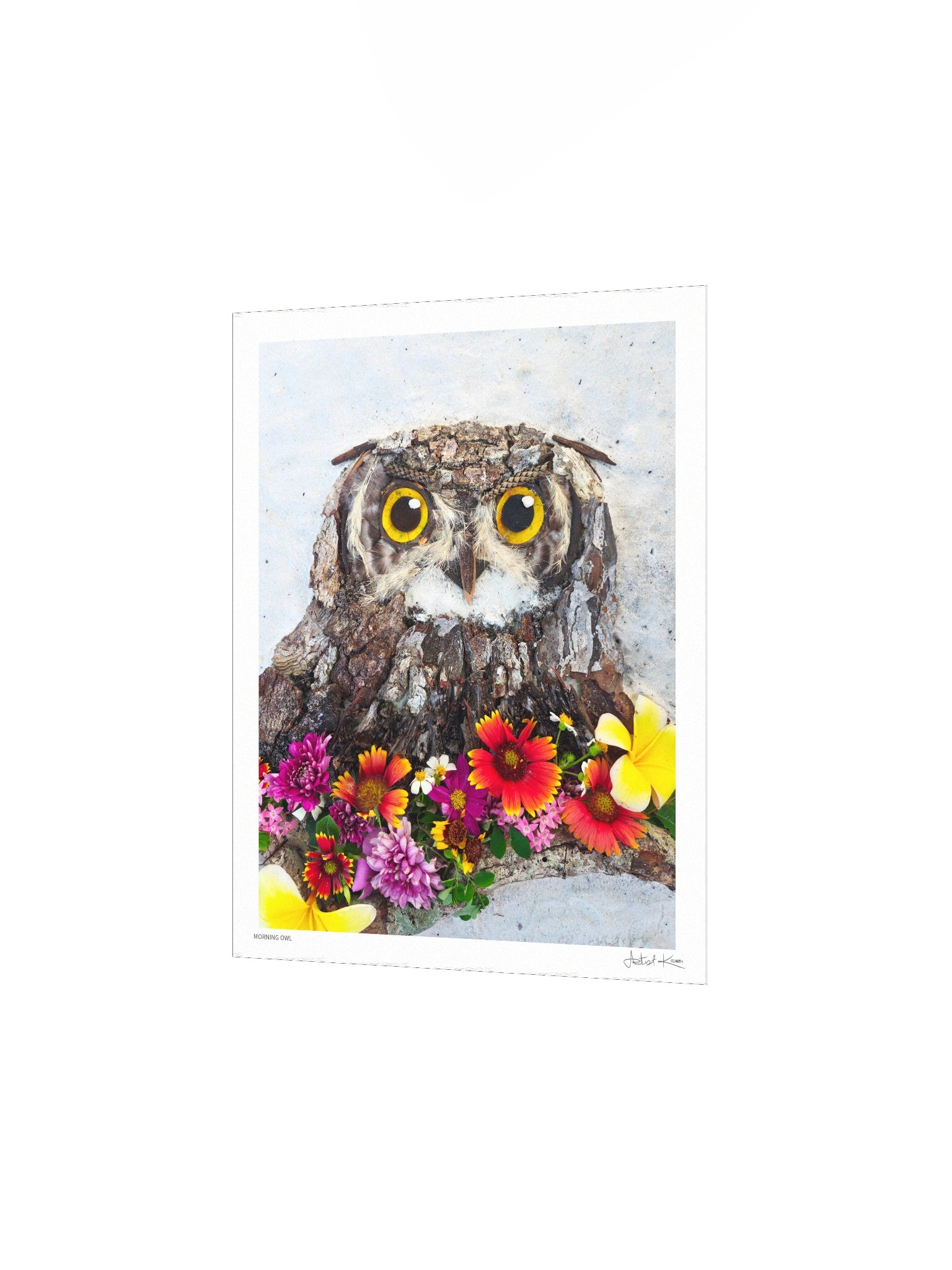 MORNING OWL | Fine Art Print product image (6)