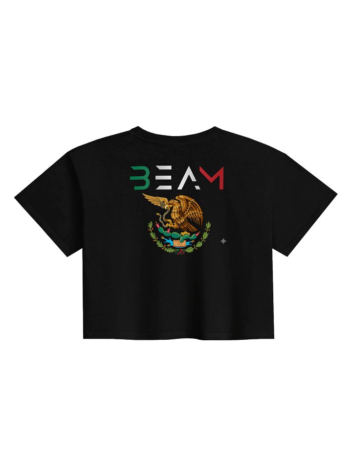 BEAM MEXICAN FLAG CROP TOP product image (2)