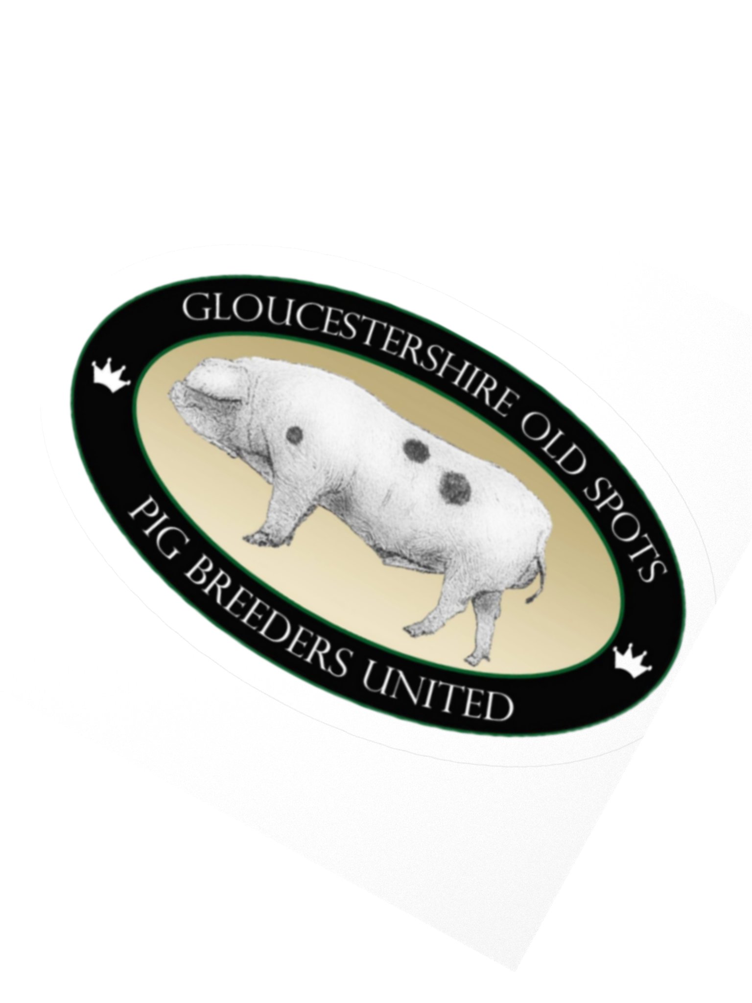 Vintage Gloucestershire Pig Breeders Stickers product image (2)