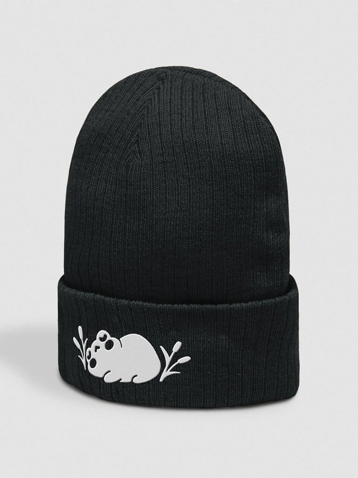 Eepy Fronk Beanie product image (2)