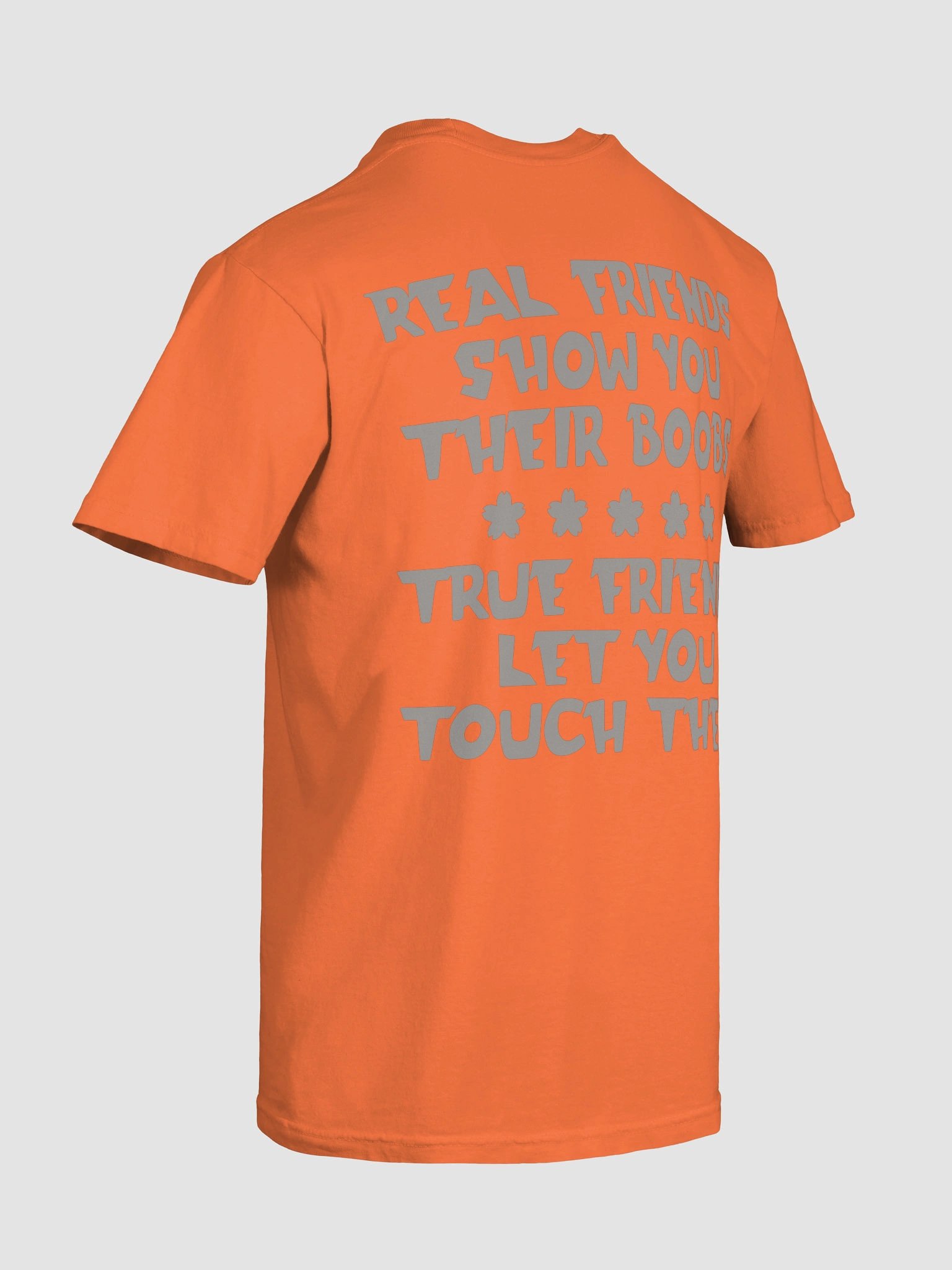 REAL FRIENDS SHOW YOU THEIR BOOBS Salty Shirt product image (53)