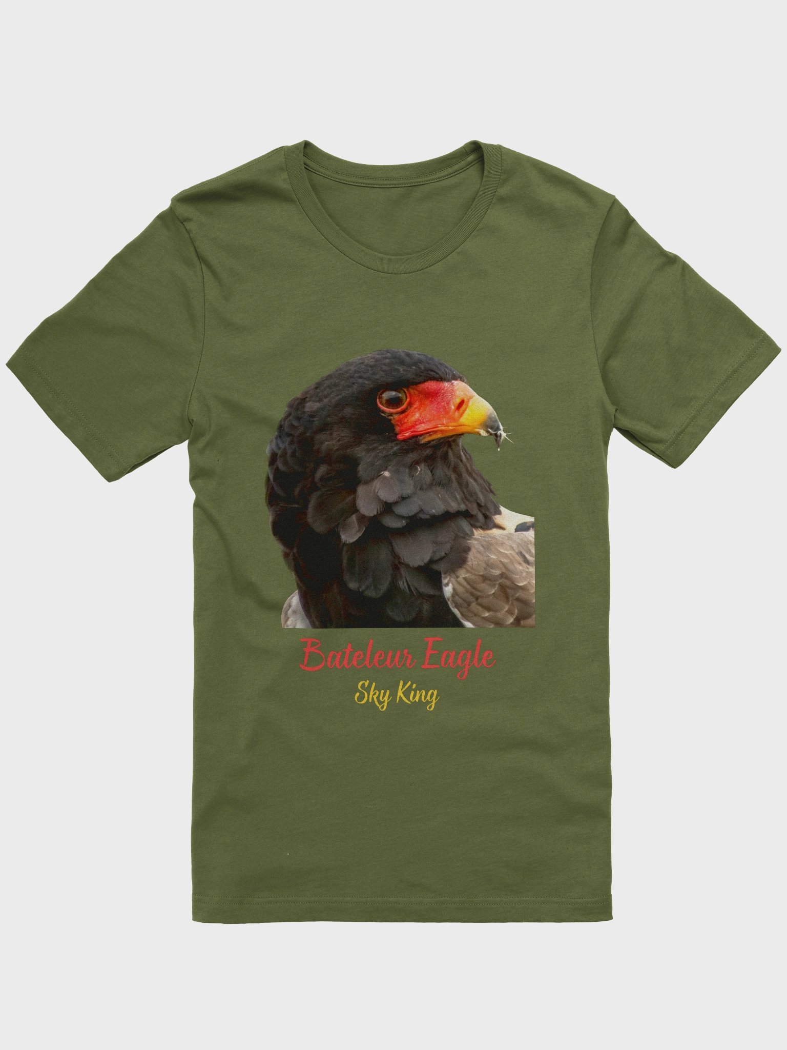 Sky King - Bateleur Eagle product image (1)