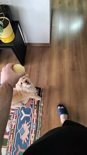 İyi günler, mutluluklar, güzel tesadüfler 🤲