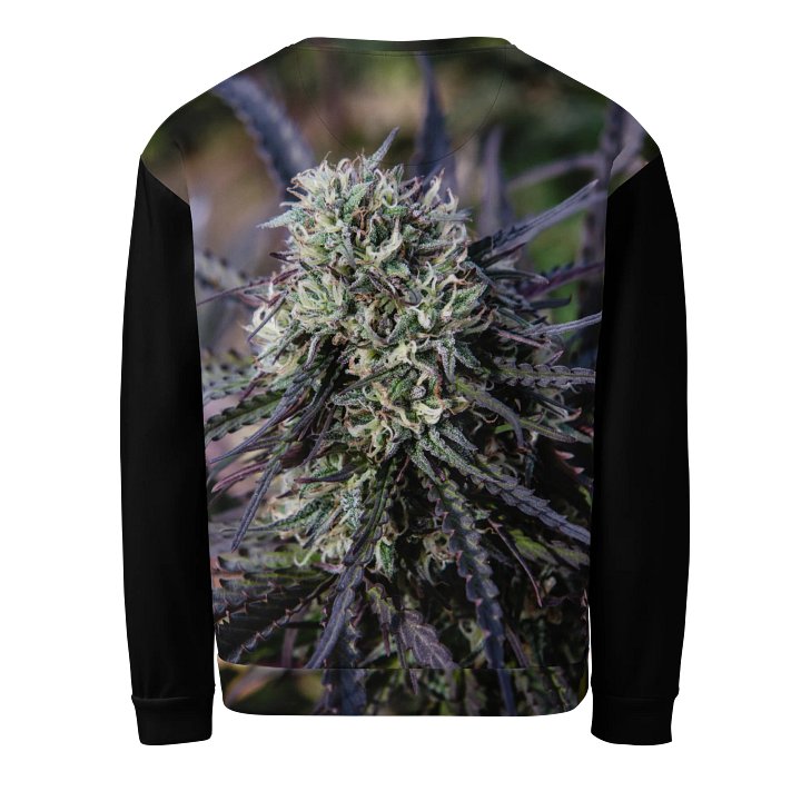Royal Purple Cultivated Crewneck Sweatshirt product image (2)