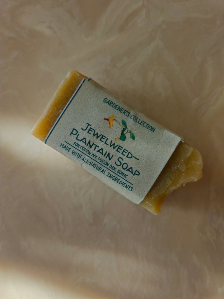 Jewelweed-Plantain Bar Soap product image (1)