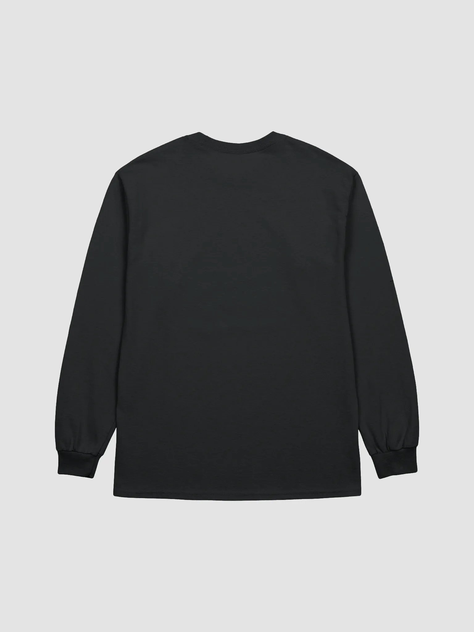 Long Sleeve – Rise. Roar. Repeat. product image (7)