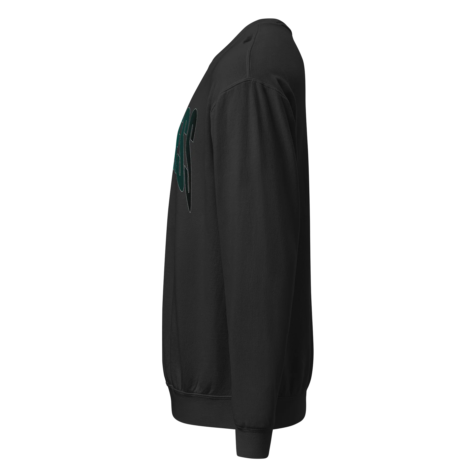 FORTRESS "AQUA" ESSENTIALS CREW SWEATSHIRT product image (4)