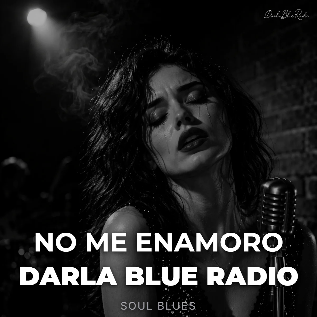 No Me Enamoro - Darla Blue Radio (Soul Blues) | Descarga Digital product image (1)