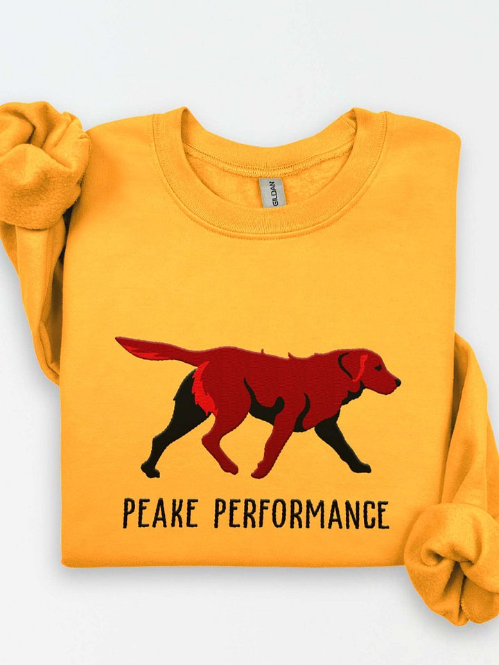 Peake Performance Sweatshirt (Embroidered) of a Chesapeake Bay Retriever(Brown) product image (1)
