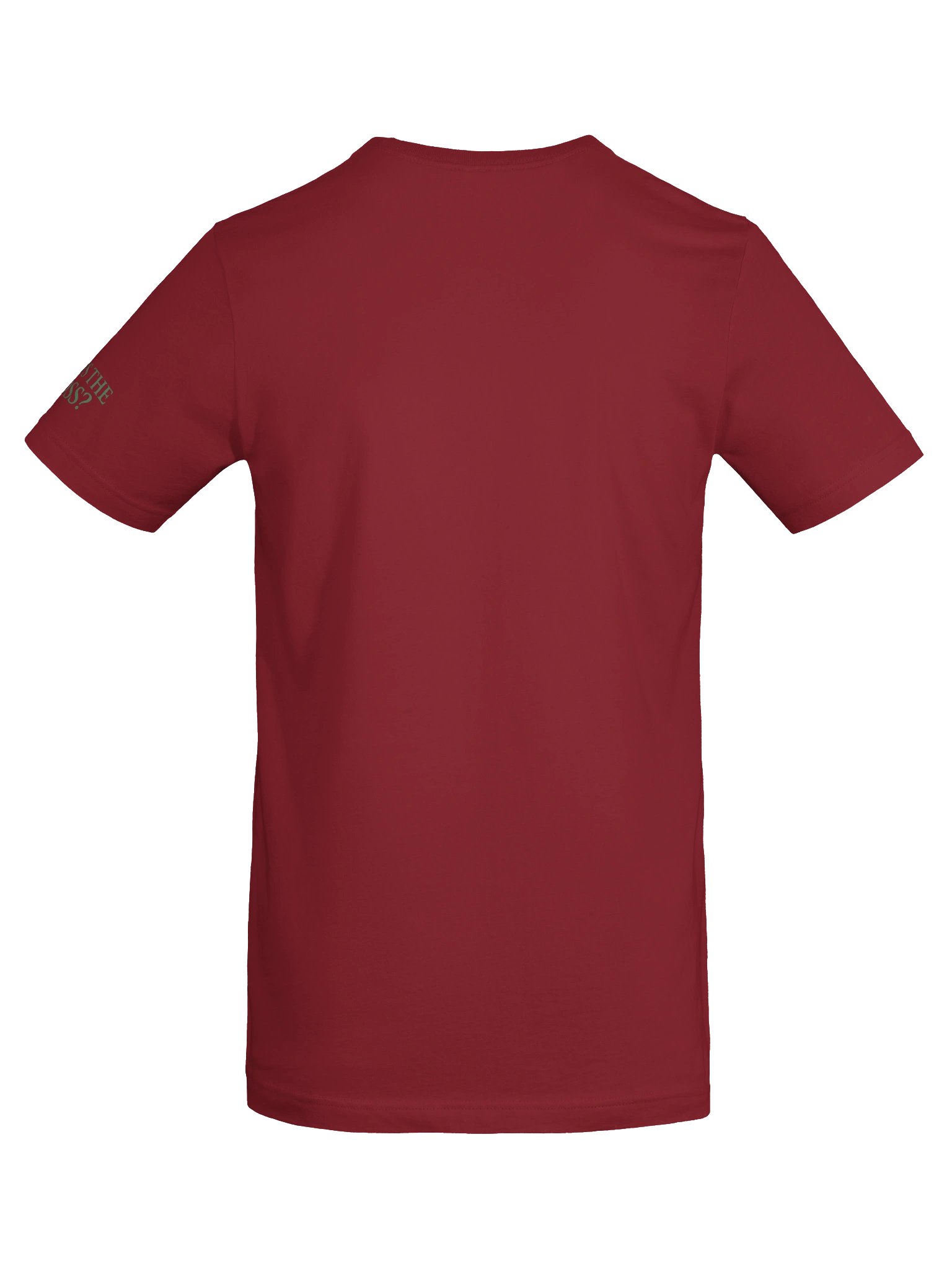 ROUND 42: ABDUCTION DENIED TEE product image (8)