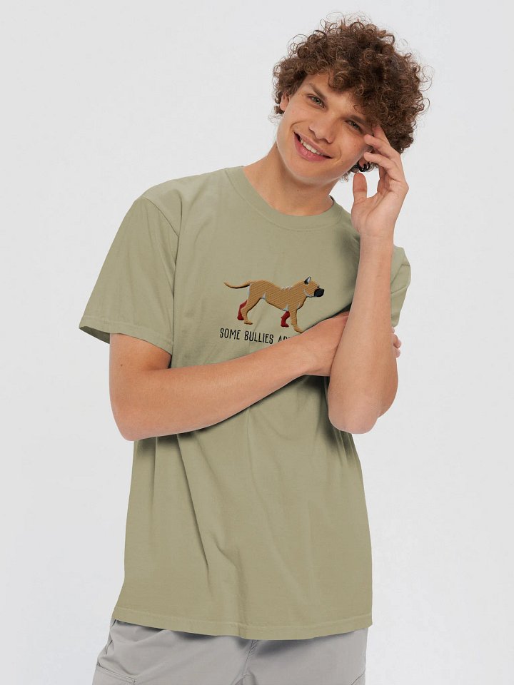 Some Bullies Are Cool T-Shirt(Embroidered) of an American Bully(Tan) product image (2)