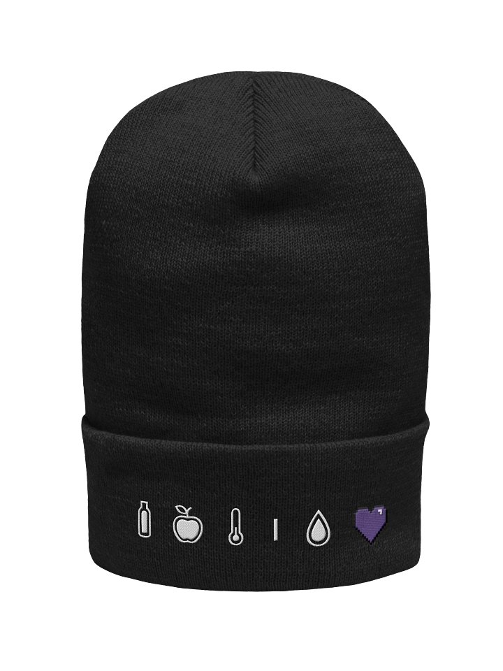 HollyRex DayZ Icons Cuffed Beanie product image (1)