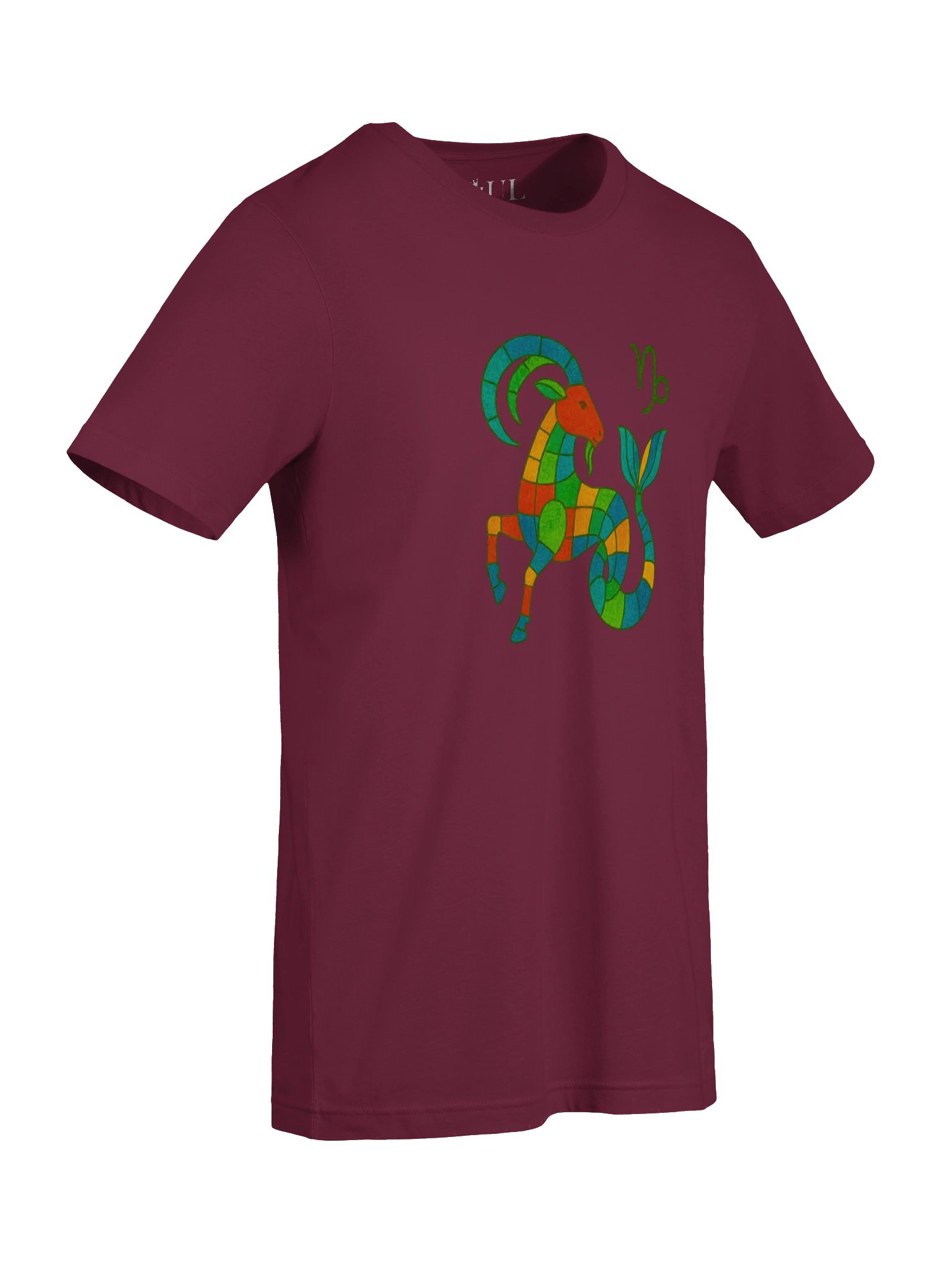 CAPRICORN - ZODIAC IN COLORS t-shirt product image (18)