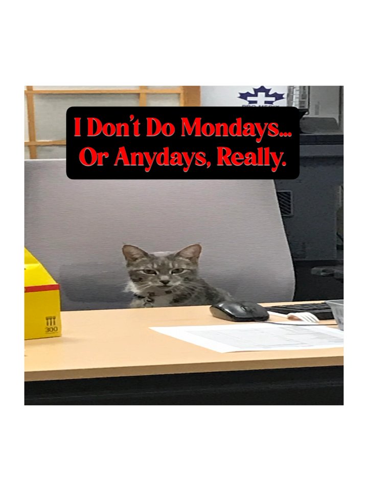 Office Cat Anti-Monday Stickers product image (2)