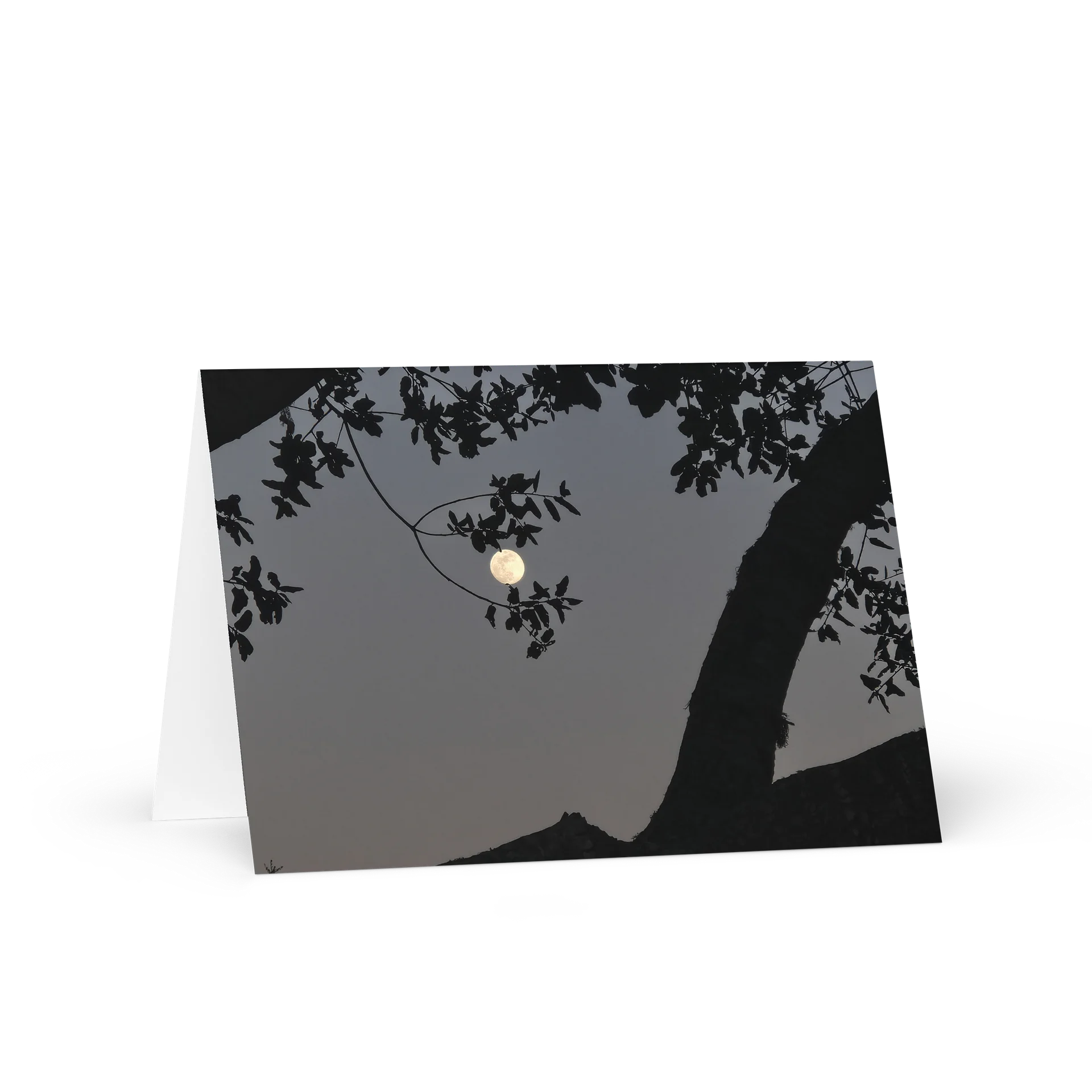 Moonlit Tree Greeting Card product image (1)