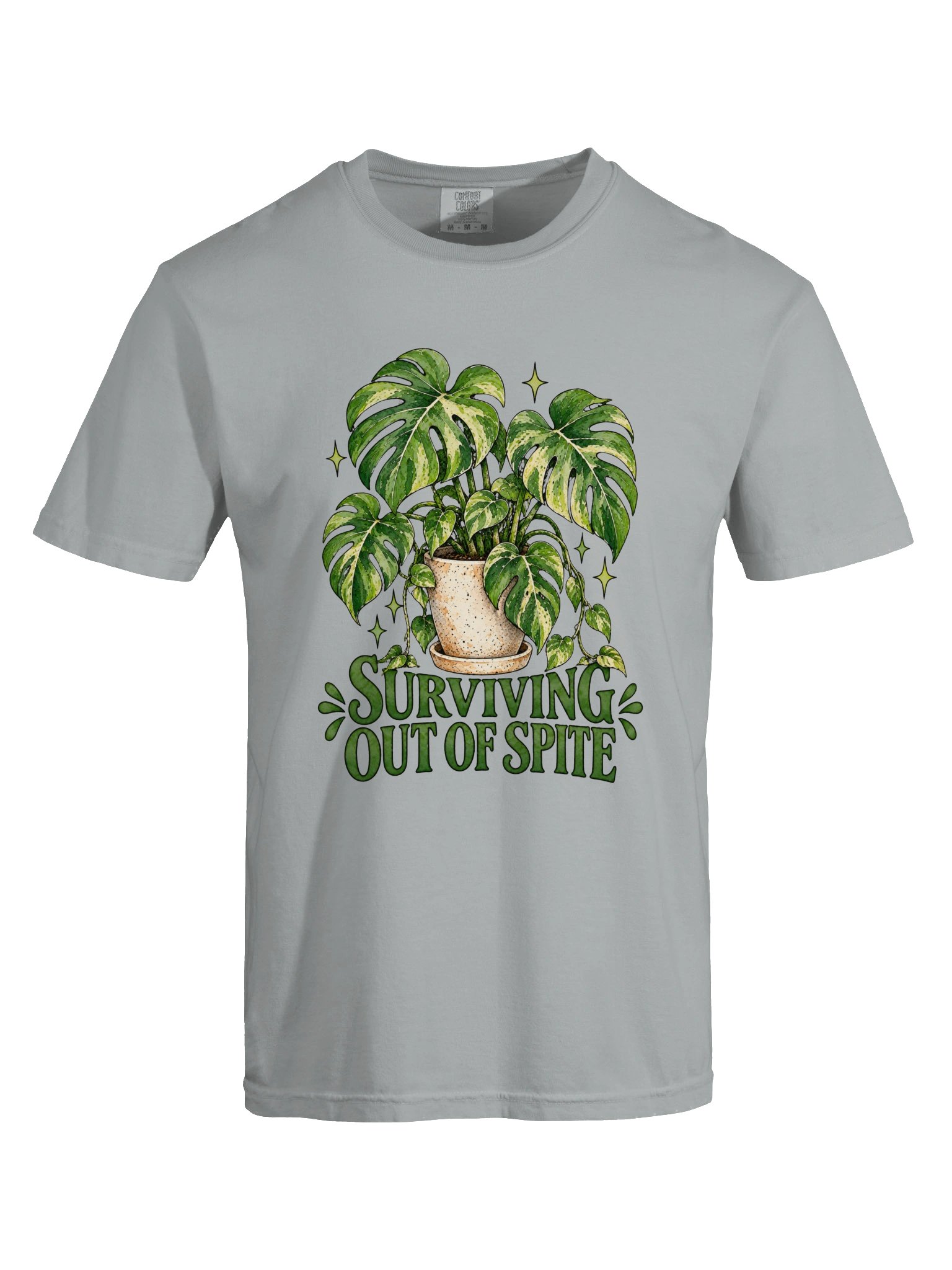 Surviving Monstera product image (5)