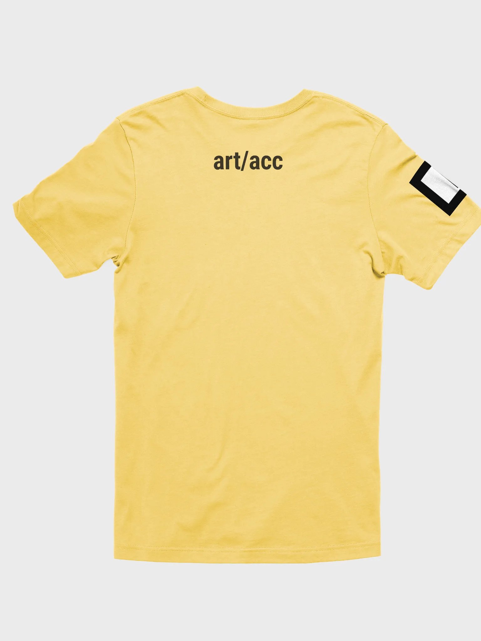 ANTI SLAY - Bella+Canvas Supersoft T-Shirt product image (2)