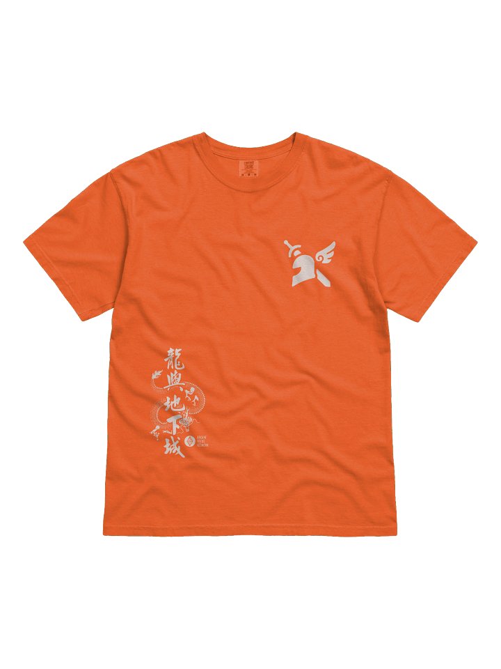 Dungeons and Dragons Paladin Class T-Shirt product image (1)