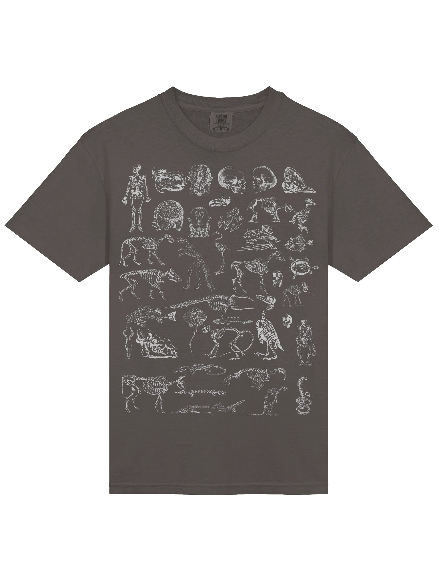 Dark Academia Skeletons Shirt – Vintage Anatomy & Animal Bones Graphic Tee product image (55)