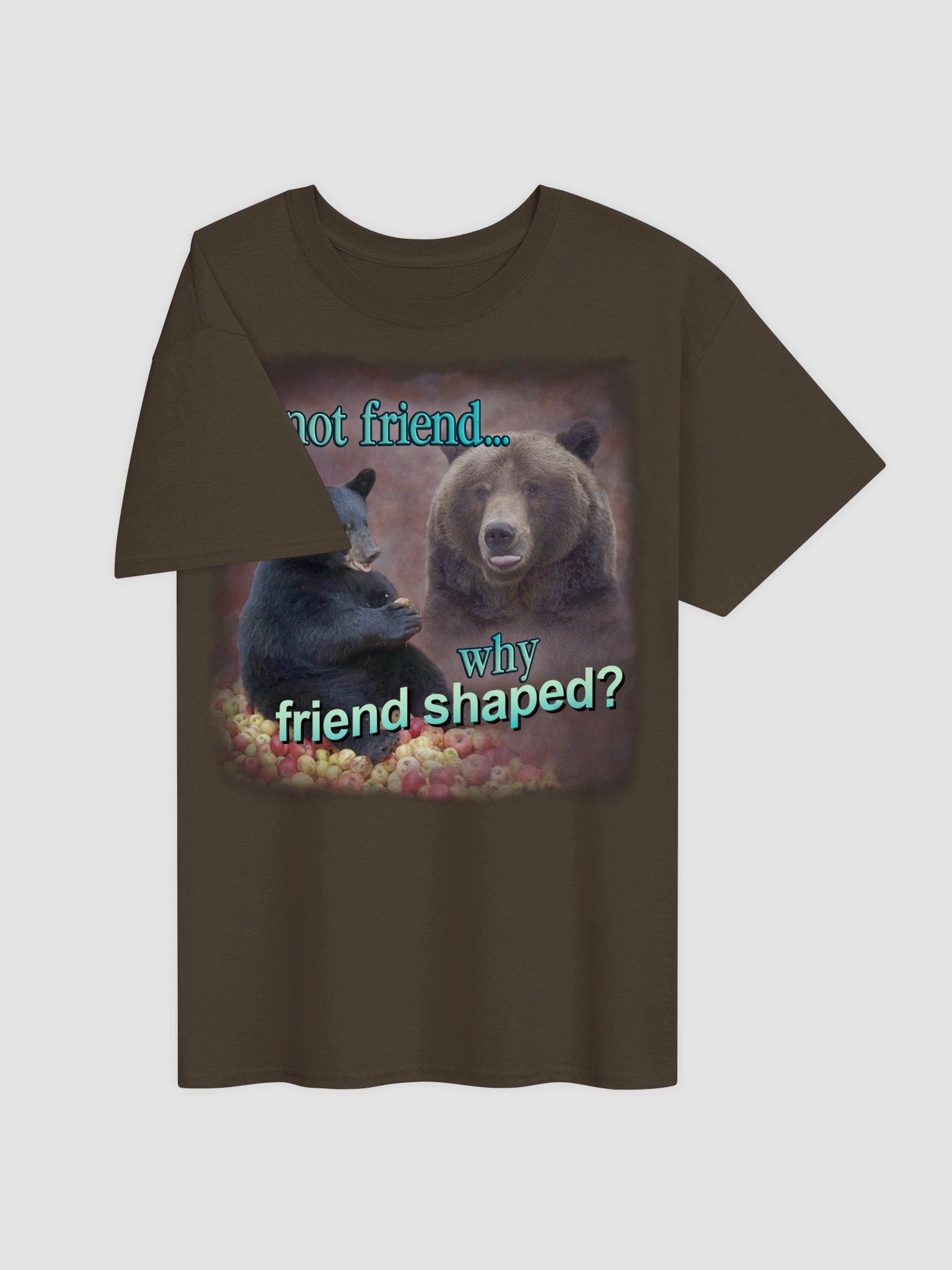 If Not Friend, Why Friend Shaped Bear T-shirt product image (3)