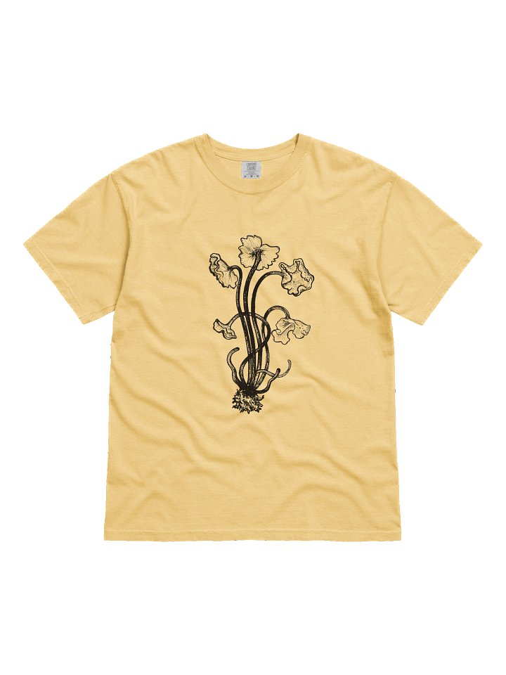 Brown Chanterelle - Print product image (41)