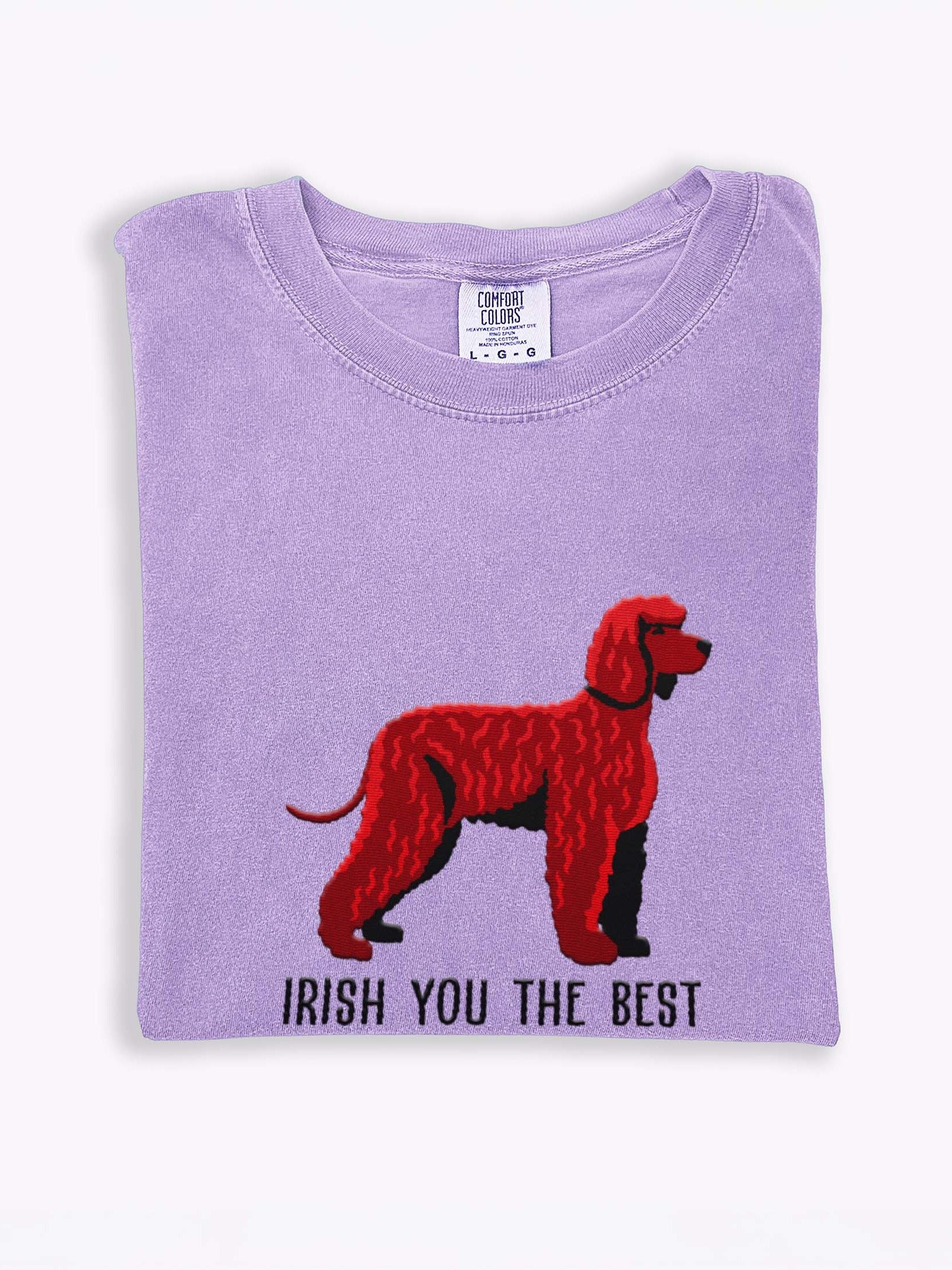 Irish You the Best T-Shirt(Embroidered) of an Irish Water Spaniel product image (1)