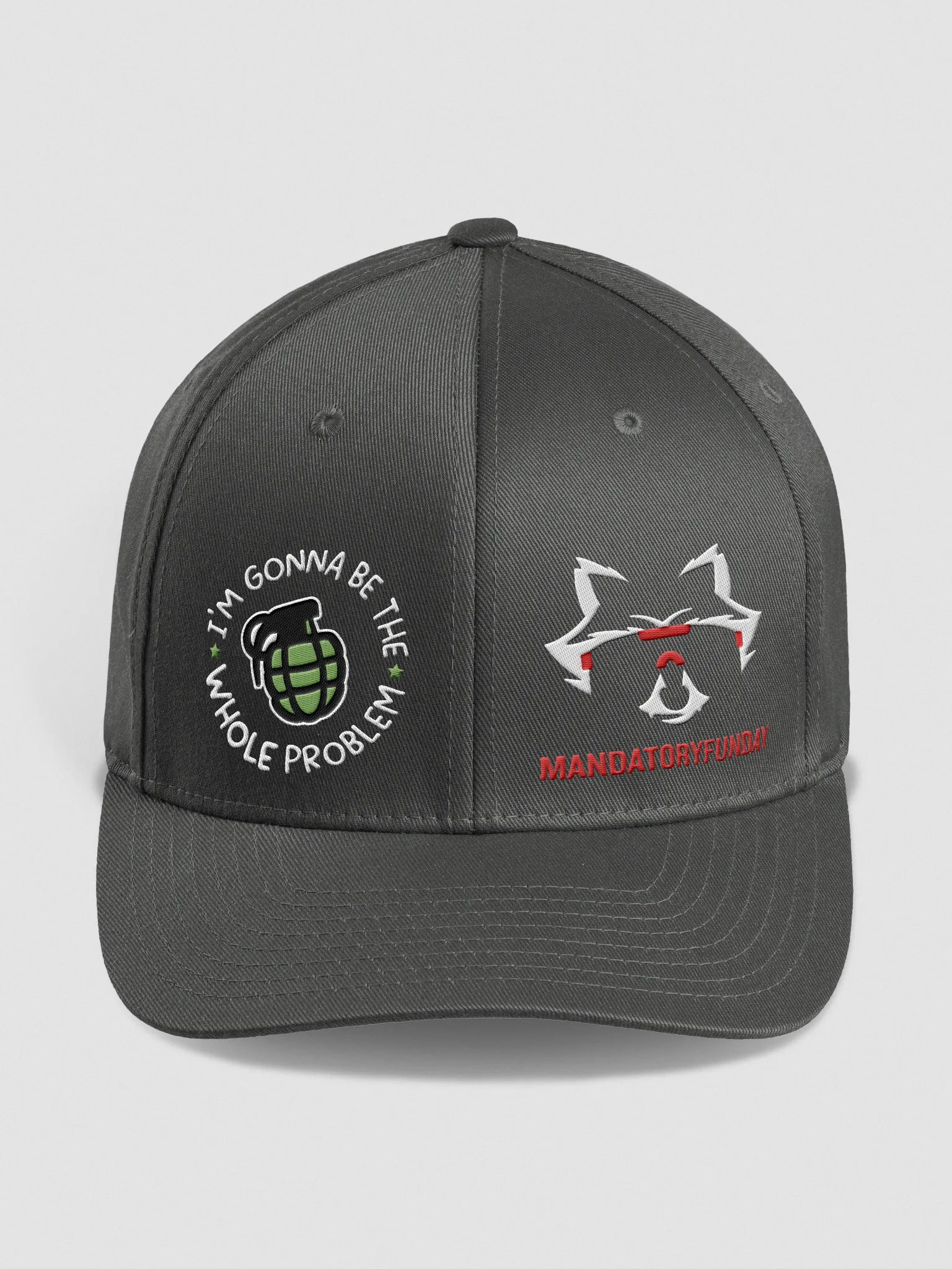 The Whole Problem Flexfit Hat product image (1)