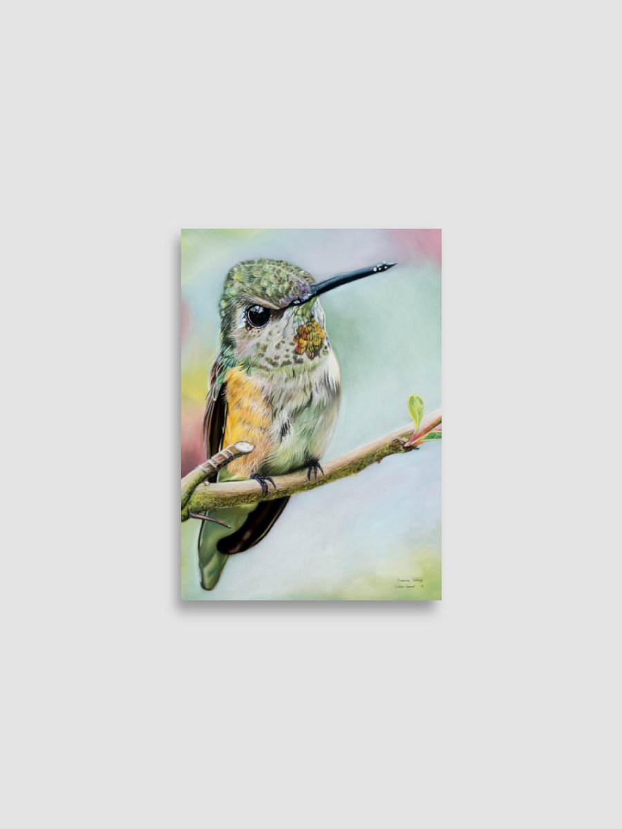 Wilmas Garden ~ Hummingbird Enhanced Matte Paper Poster product image (1)
