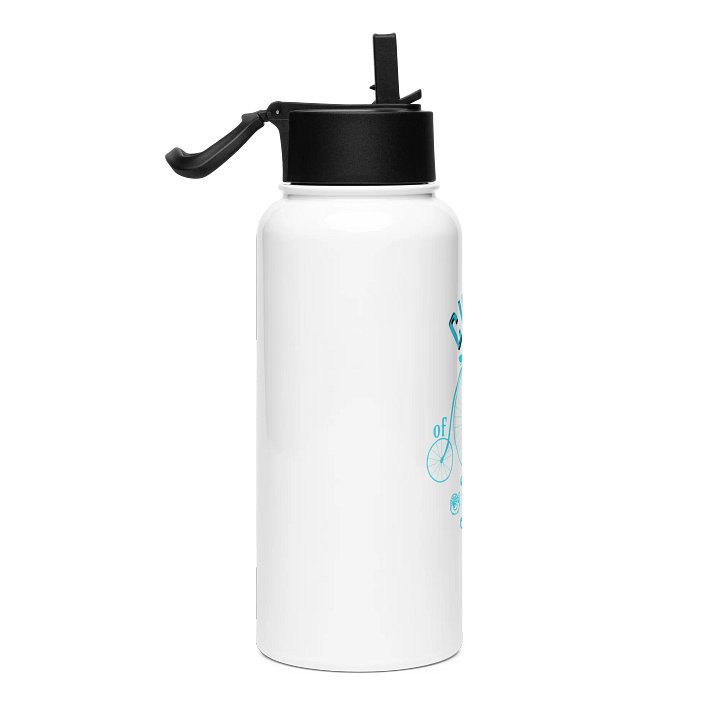Cycle of Life Stainless Steel Water Bottle with a Straw Lid product image (2)