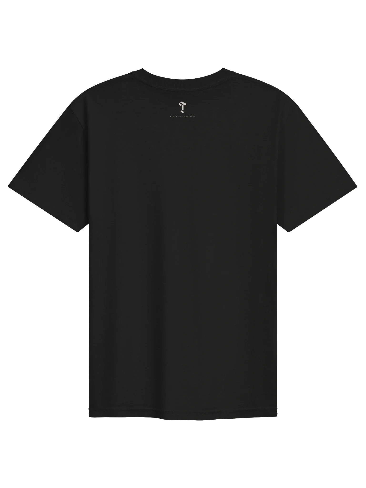 The Pass Tee, view 2
