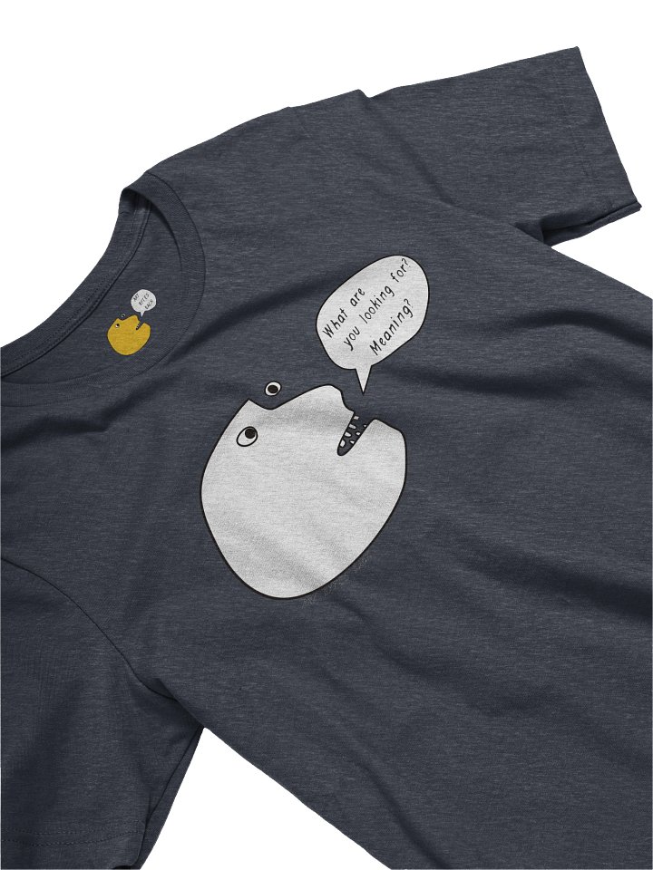 What are you Looking For? Meaning? product image (2)