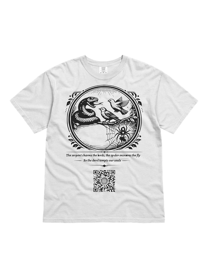 Charms and Snares product image (1)