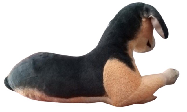 DOG SOFT TOY product image (3)