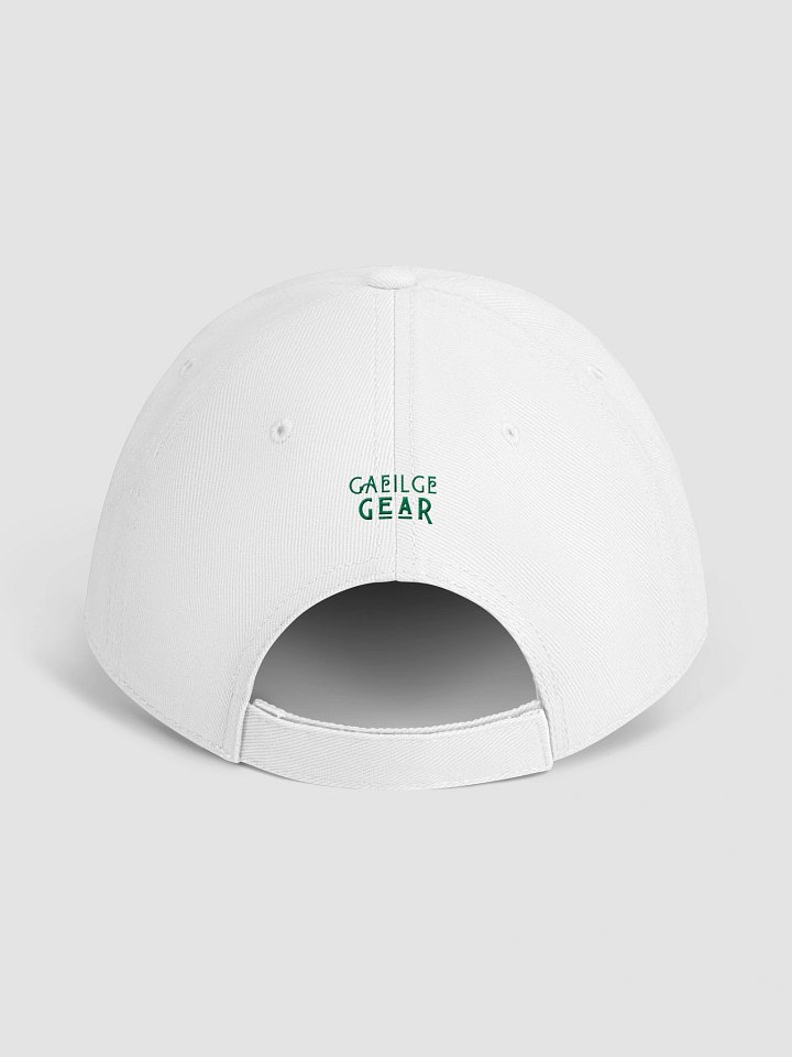 Speak Irish To Me 💚 Basic Baseball Cap  product image (2)